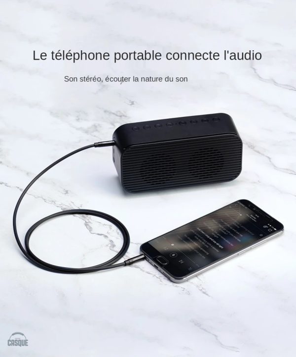 Câble jack 2,5 mm vers 3,5 mm pour haut-parleurs